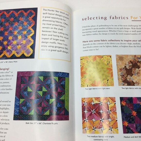 Hunter Star Quilts & Beyond Jan Krentz Techniques Projects Infinite Possibilitie - Picture 5 of 13